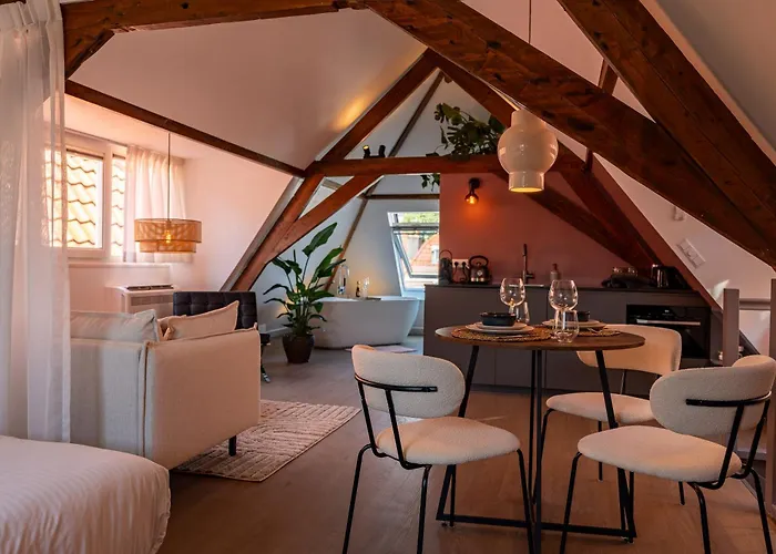 Stylish Loft Den Haag - The King Swiete - Between City Center & The Beach - B&B The Swiete